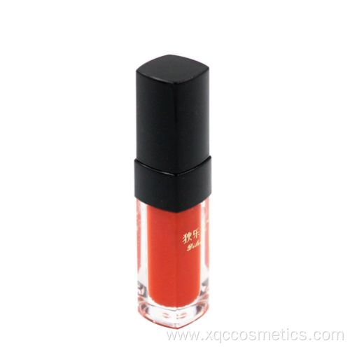 Lip glaze matte without drying